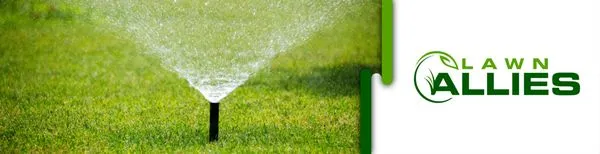 Lawn Allies