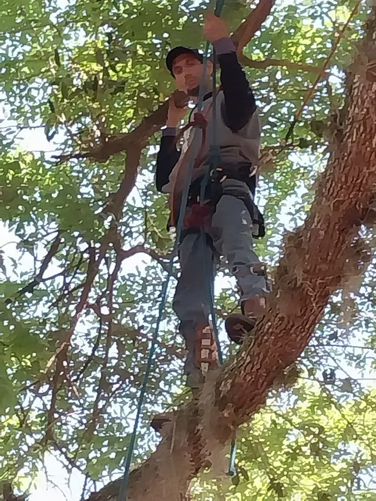 Local yard maintenance in Middleburg, FL by Lawn An Order Tree In Lawn Care