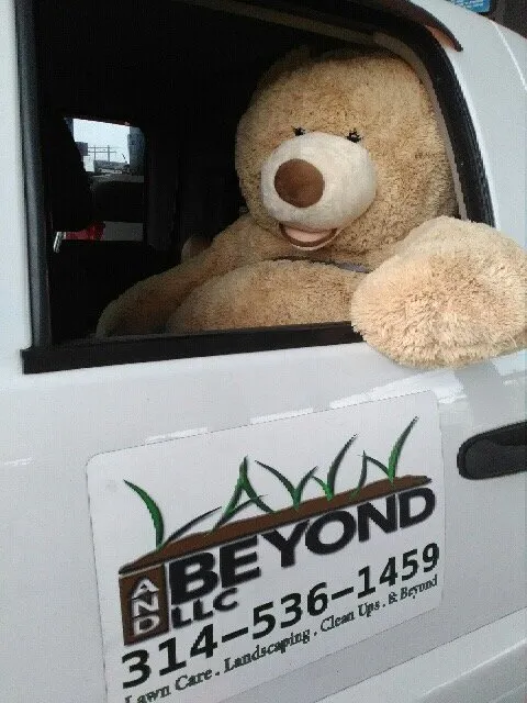 Reliable yard cleanup service for residential properties in St. Louis, MO by Lawn and Beyond