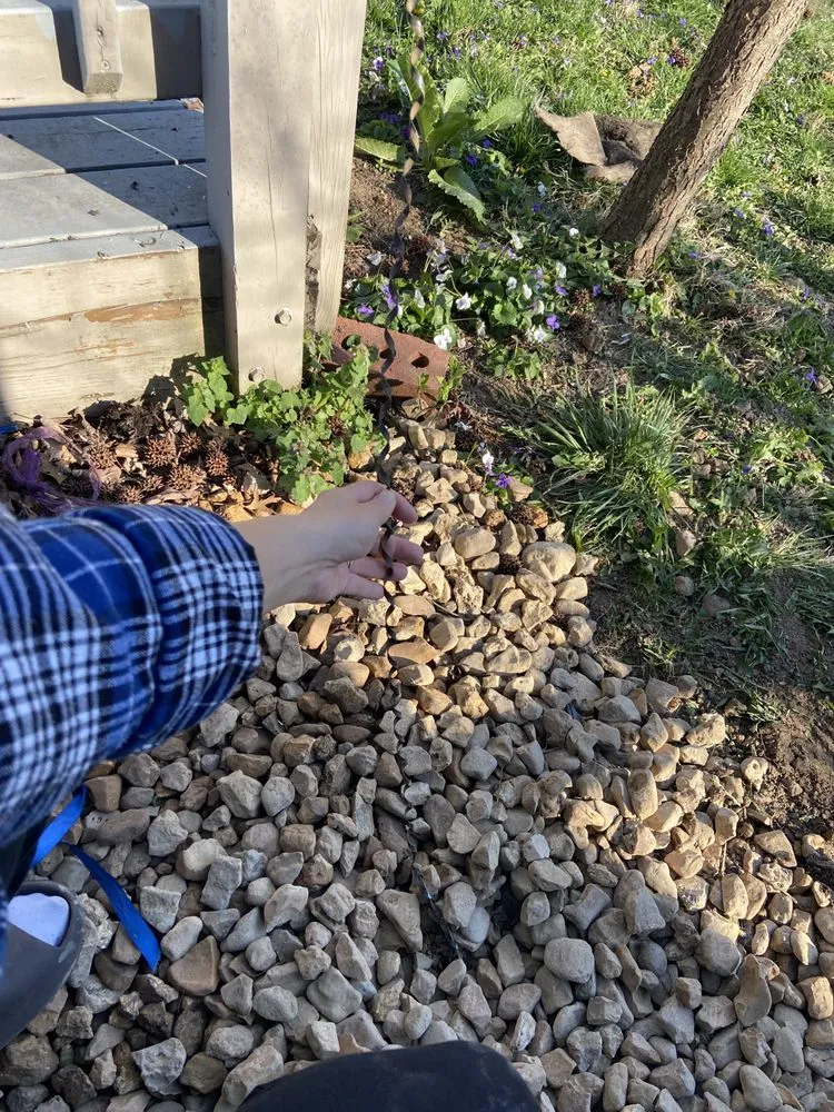 Custom residential landscaping in St. Louis, MO by Lawn and Beyond