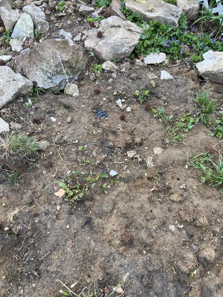 Custom garden landscaping for homes in St. Louis, MO by Lawn and Beyond