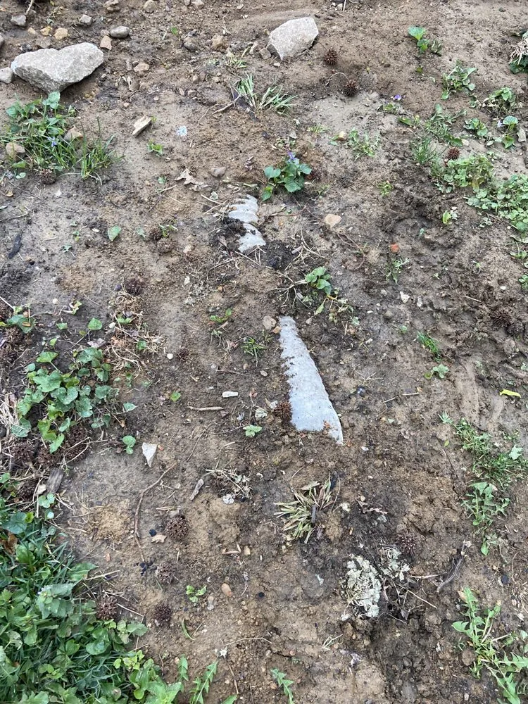 Professional landscaping services experts serving St. Louis, MO - Lawn and Beyond