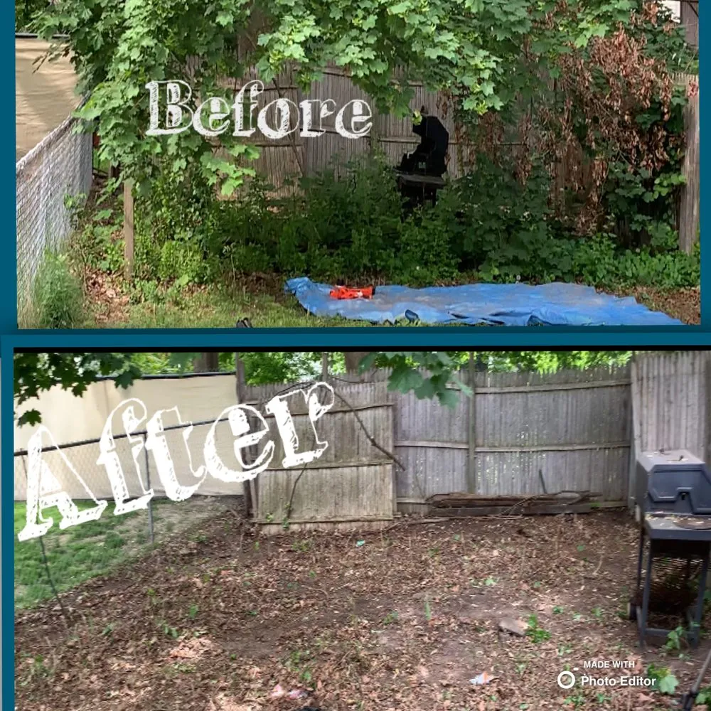 Affordable yard maintenance in Rensselaer, NY - Lawn And Garden Maintenance