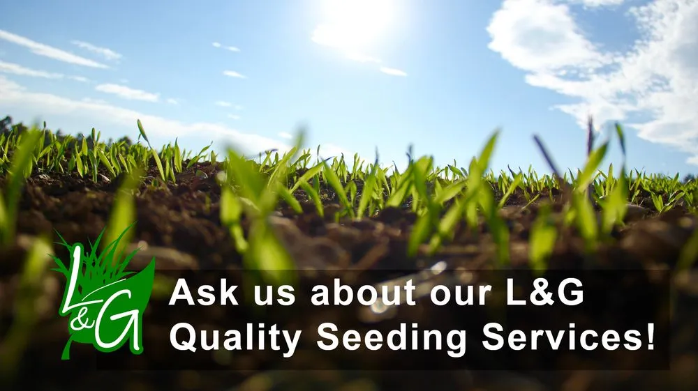 Top-rated landscaping services in De Pere, WI by Lawn and Garden Services