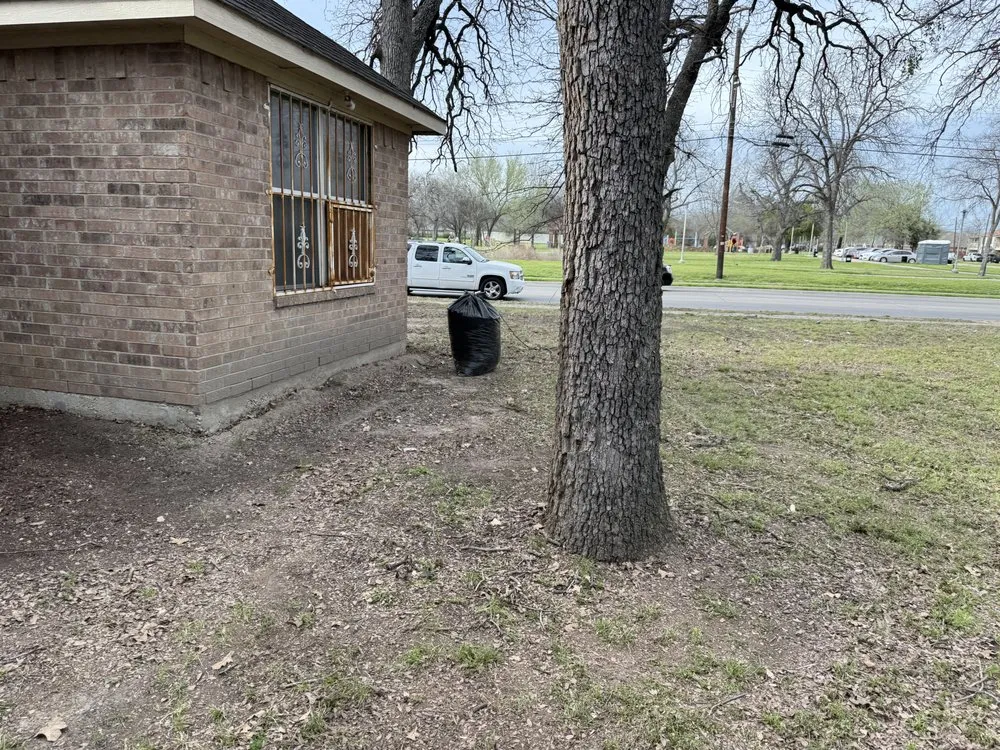 Top-rated yard maintenance near you across Dallas, TX - Lawn and Go