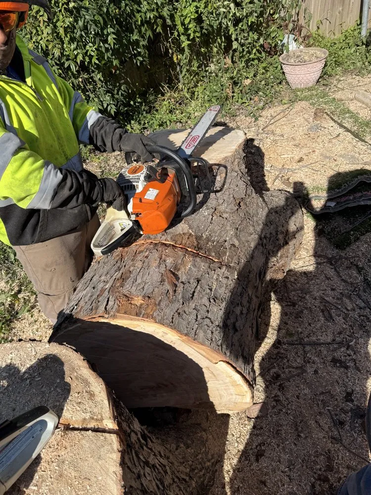 Affordable residential landscaping in Dallas, TX by Lawn and Go