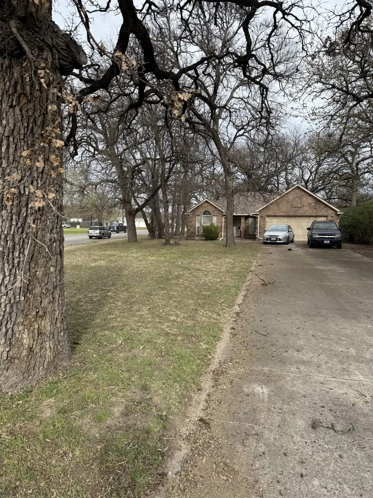 Trusted landscape design experts serving Dallas, TX - Lawn and Go