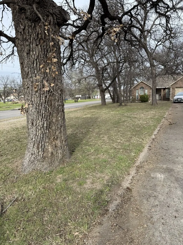 Top-rated outdoor landscaping with custom design across Dallas, TX - Lawn and Go