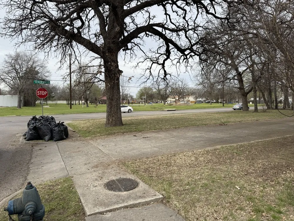 Affordable landscaping services experts serving Dallas, TX - Lawn and Go