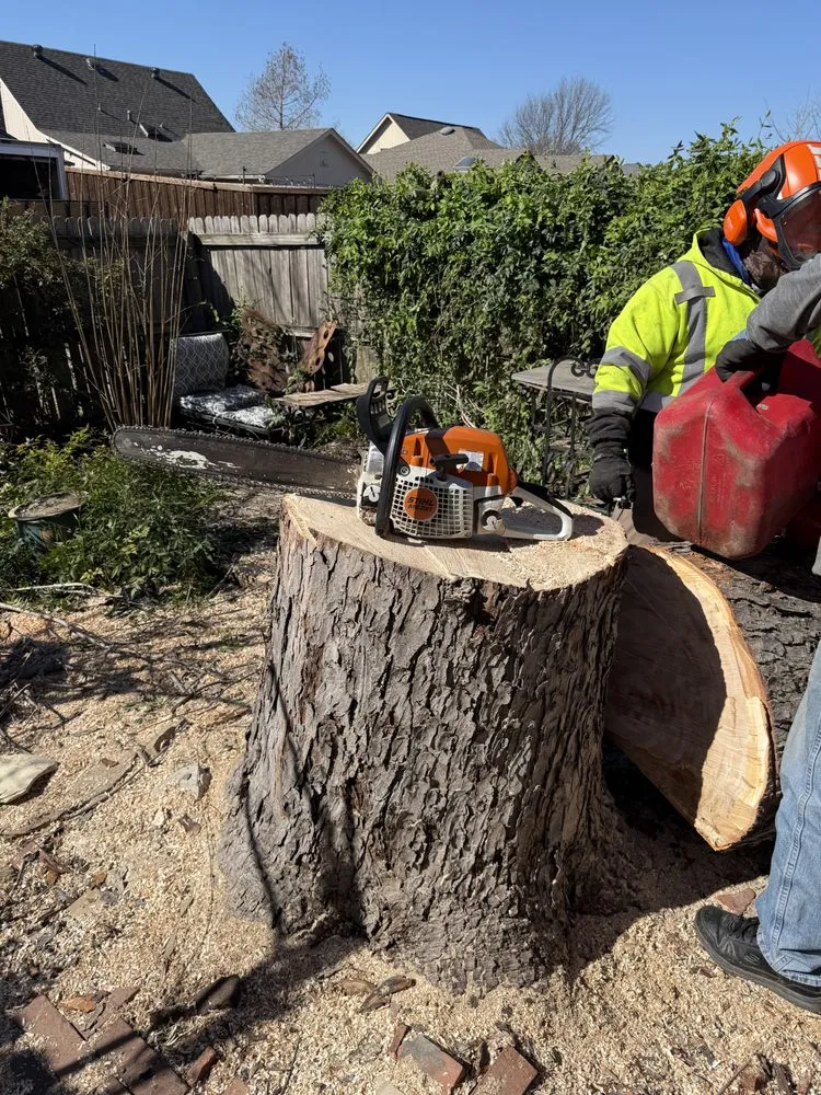 Top-rated landscape design in Dallas, TX - Lawn and Go