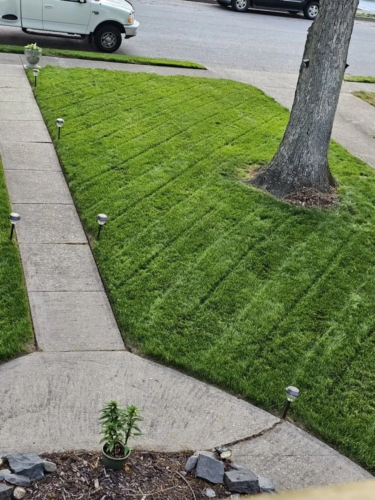 Custom outdoor landscaping for residential properties in Hampton, VA by Lawn And Grounds Maintenance