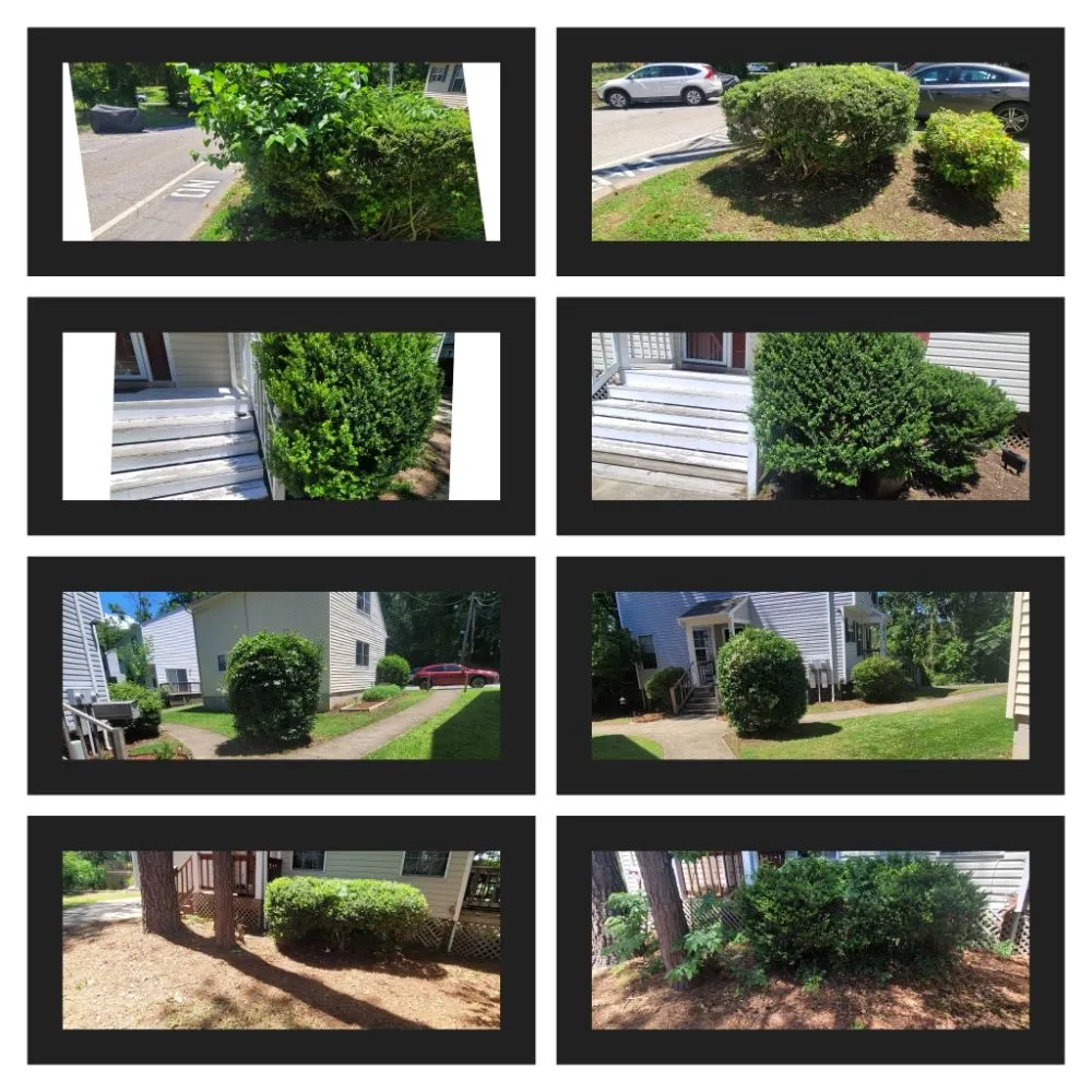 Reliable landscaping services in Hampton, VA by Lawn And Grounds Maintenance