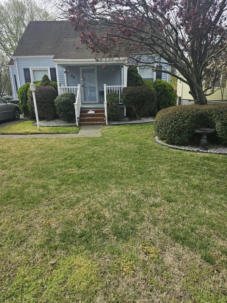 Affordable yard cleanup service for residential properties in Hampton, VA by Lawn And Grounds Maintenance