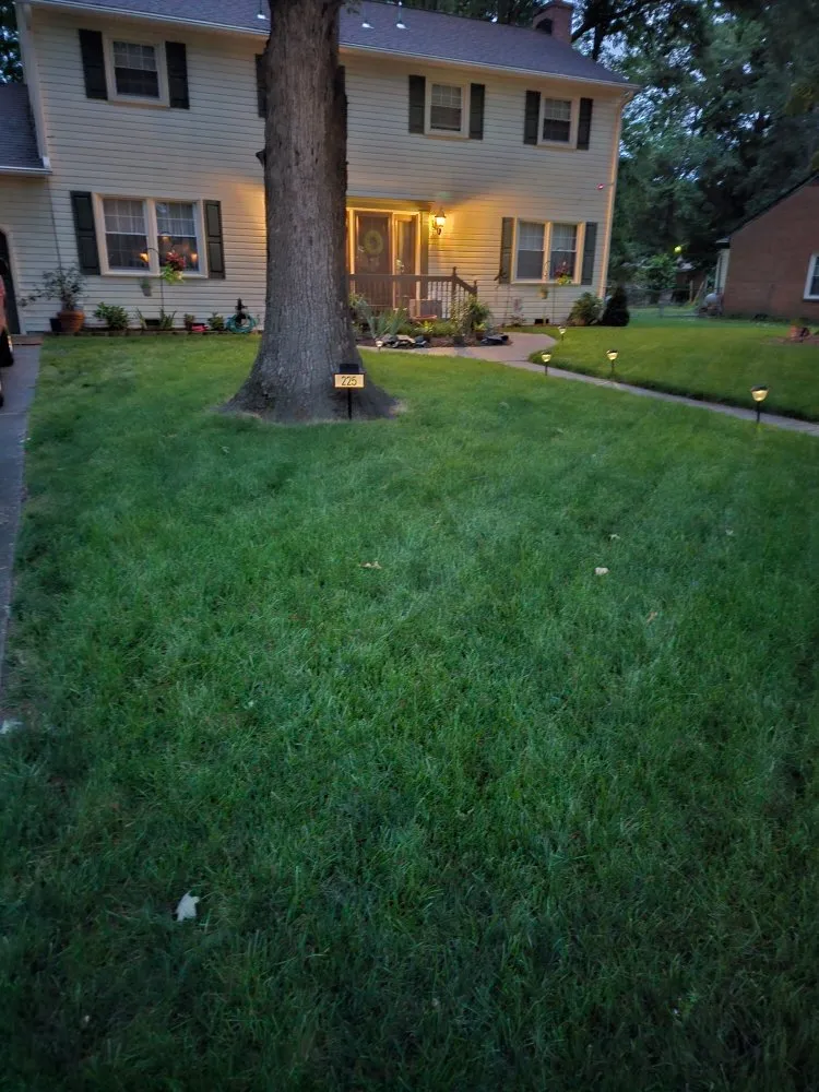Affordable lawn care service in Hampton, VA by Lawn And Grounds Maintenance