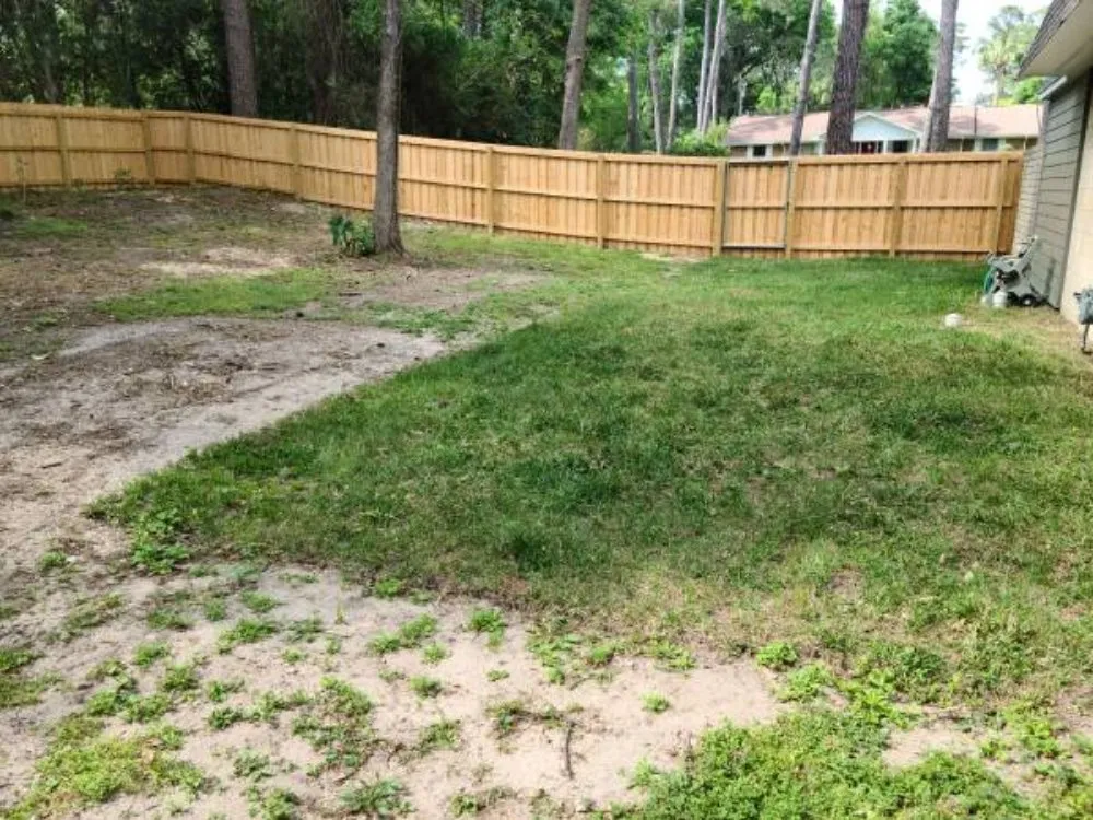 Top-rated yard cleanup service in Trenton, FL - Lawn And Home Improvements