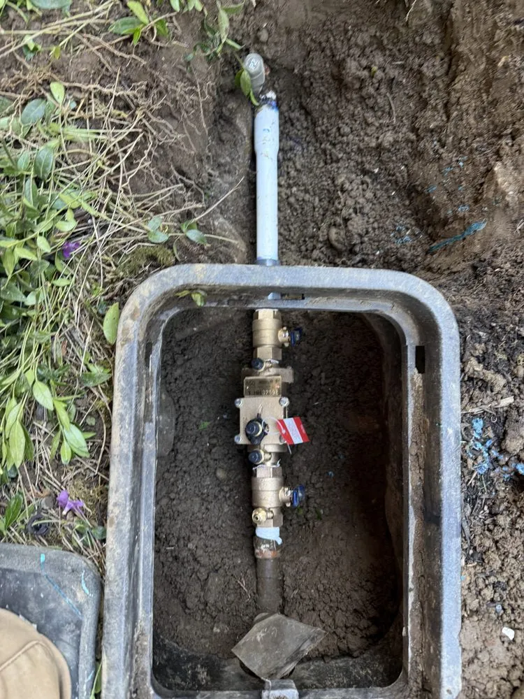 Professional landscape installation in Issaquah, WA by Lawn And Irrigation Solutions