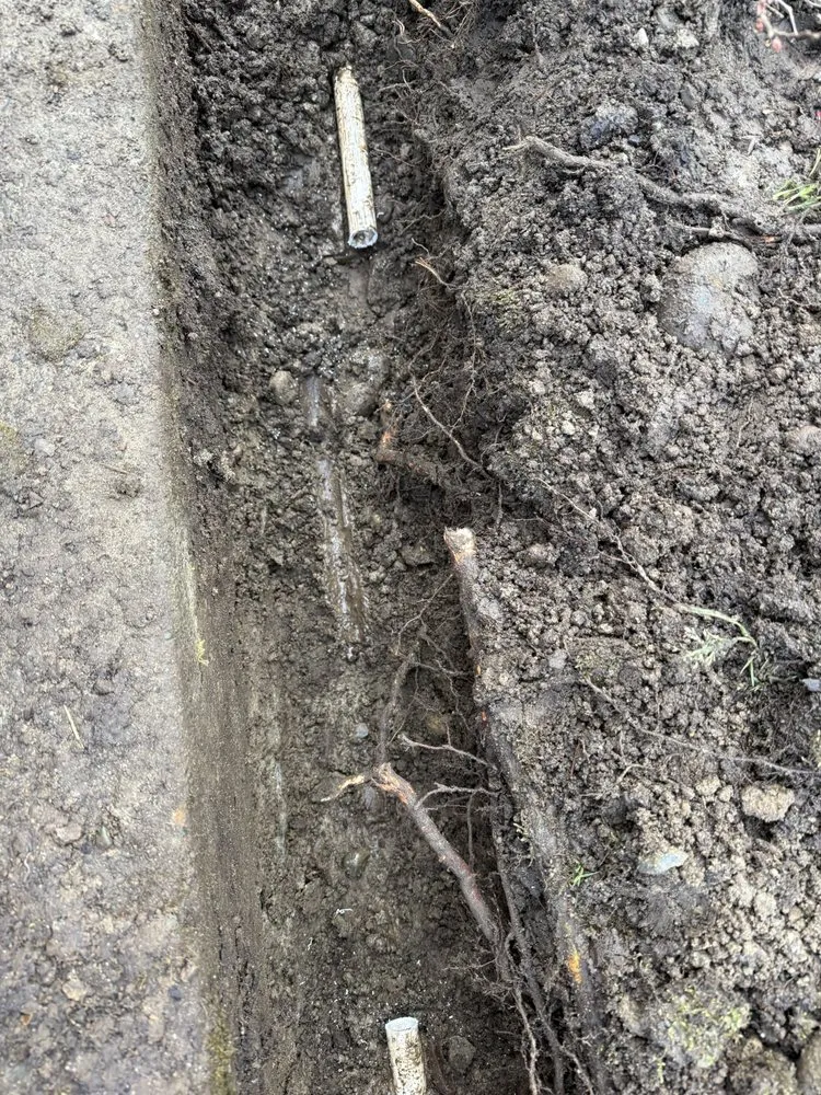 Top-rated garden landscaping in Issaquah, WA by Lawn And Irrigation Solutions