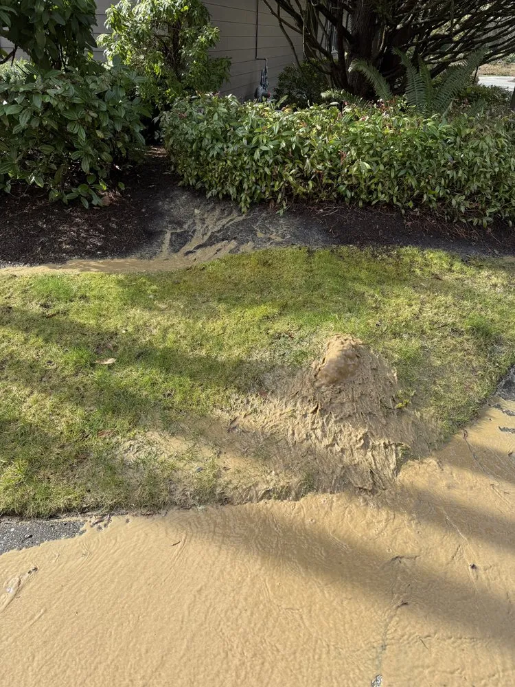 Expert landscaping services in Issaquah, WA by Lawn And Irrigation Solutions