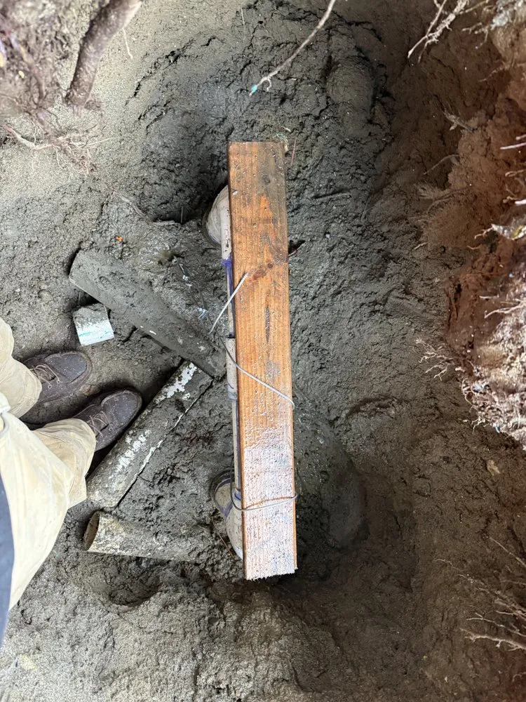 Expert landscape installation experts serving Issaquah, WA - Lawn And Irrigation Solutions