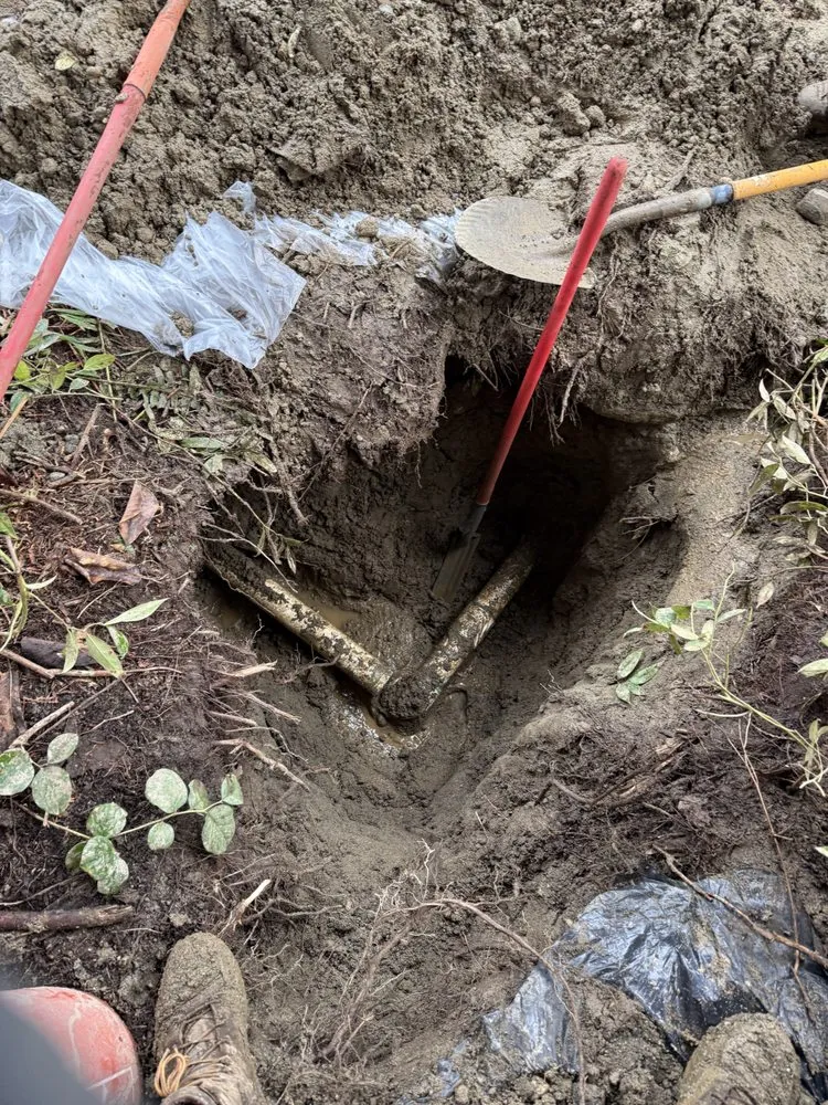 Affordable landscaping services for outdoor upgrades in Issaquah, WA by Lawn And Irrigation Solutions