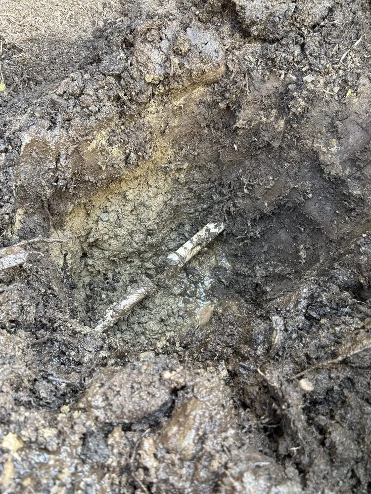 Custom lawn care service for homes in Issaquah, WA by Lawn And Irrigation Solutions