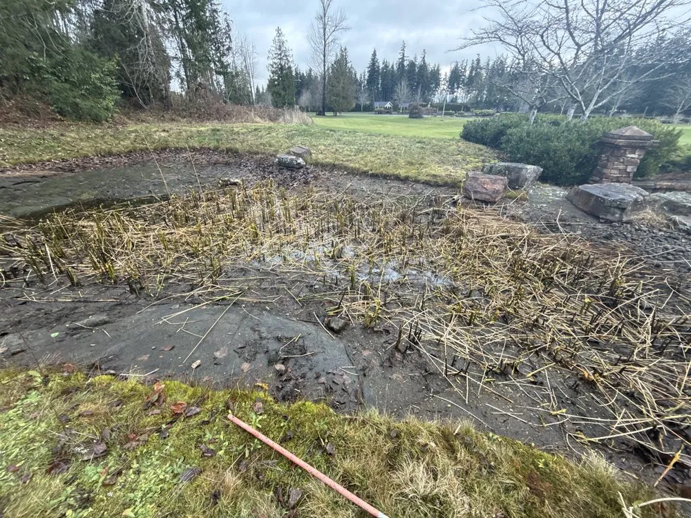 Local yard cleanup service in Issaquah, WA - Lawn And Irrigation Solutions