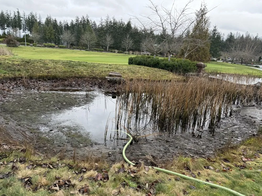 Local landscape installation in Issaquah, WA - Lawn And Irrigation Solutions