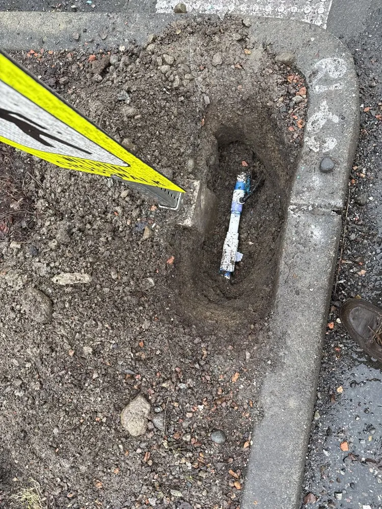 Expert lawn care service in Issaquah, WA - Lawn And Irrigation Solutions