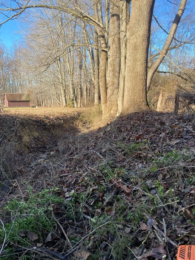 Professional yard maintenance in Dickerson, MD - Lawn and Land maintenance