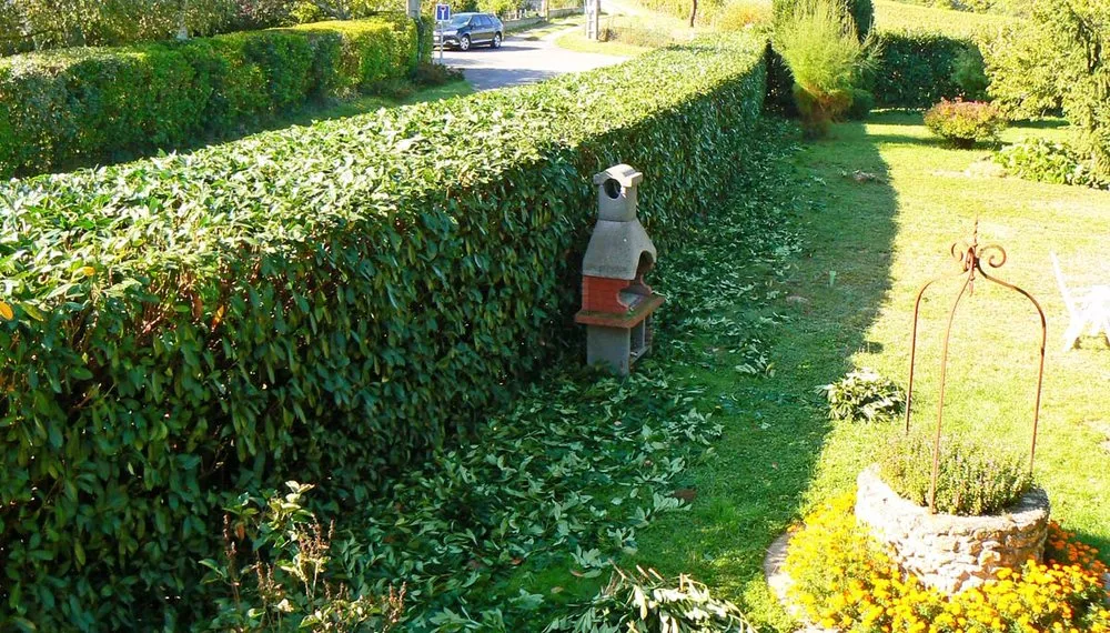 Trusted landscape design for outdoor upgrades across Powell, TN - Lawn and Land Solutions