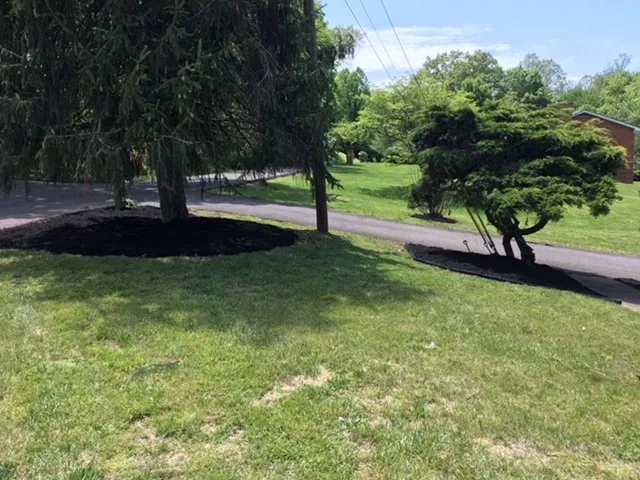 Top-rated landscape installation in Powell, TN - Lawn and Land Solutions