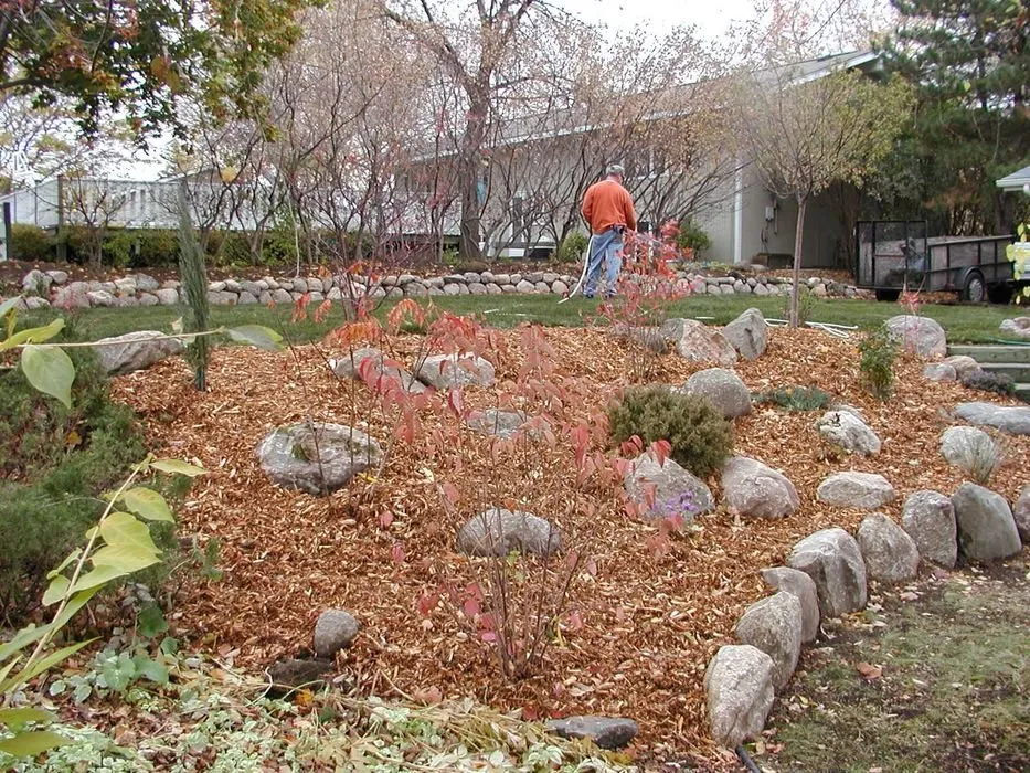 Local yard cleanup service in Circle Pines, MN by Lawn and Landscape Gardens