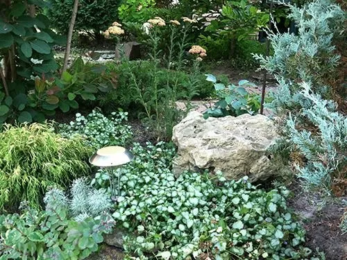 Affordable yard cleanup service experts serving Circle Pines, MN - Lawn and Landscape Gardens