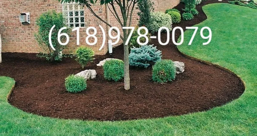 Affordable lawn care service in Red Bud, IL by Lawn and Landscape Services