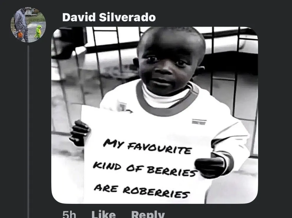 Local landscaping services in Lake Orion, MI by Lawn and Landscaping Services