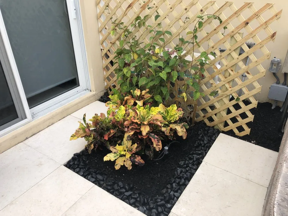 Trusted lawn care service near you across Oak Lawn, IL - Lawn and Maintenance