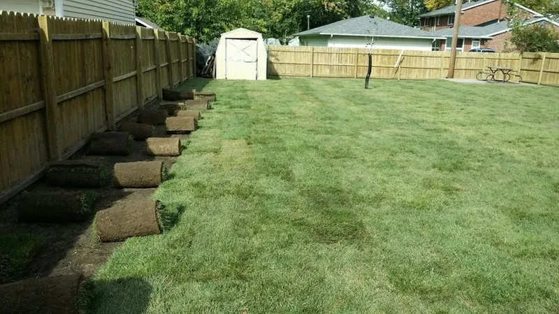 Trusted lawn mowing service experts serving Oak Lawn, IL - Lawn and Maintenance