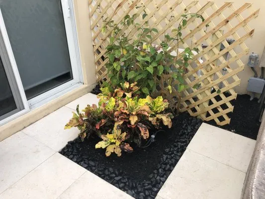 Lawn and Maintenance Logo