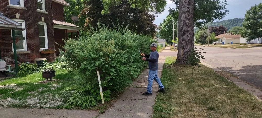 Expert lawn care service for homes in Winona, MN by Lawn and Oder