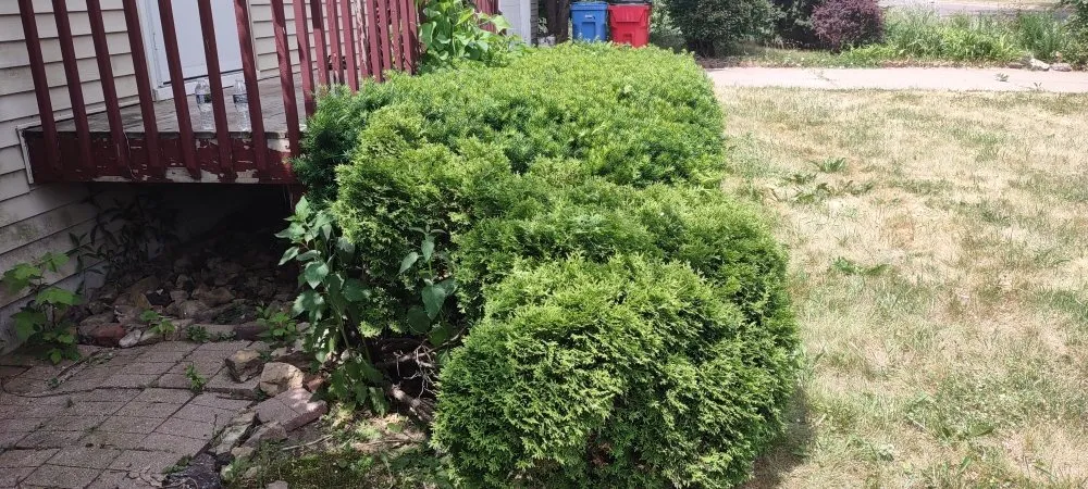 Expert landscape installation experts serving Winona, MN - Lawn and Oder