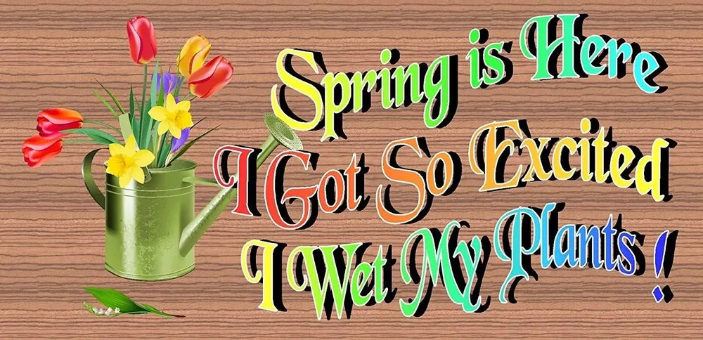 Local landscape design for residential properties in El Cajon, CA by Lawn and Order