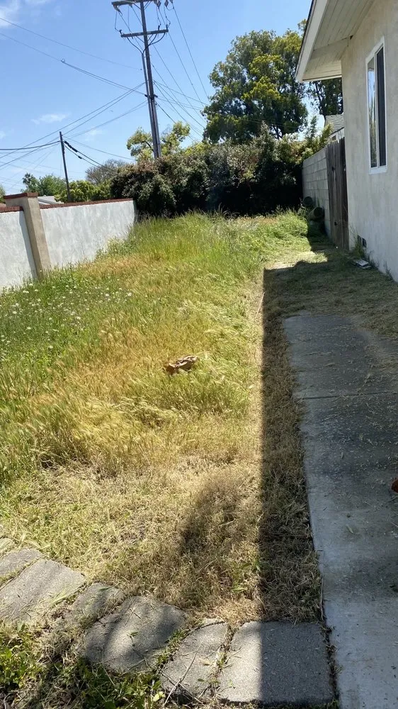 Trusted residential landscaping for year-round maintenance in El Cajon, CA by Lawn and Order