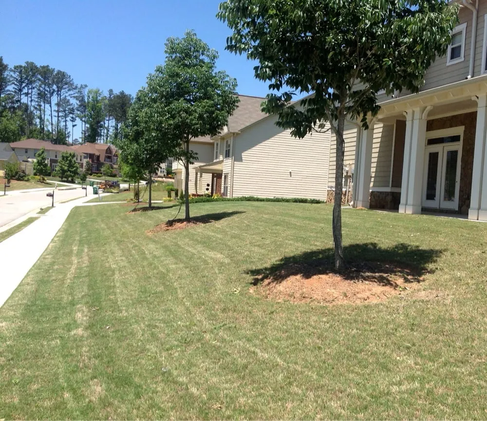 Local yard maintenance in Fairburn, GA - Lawn And Order Ground Control
