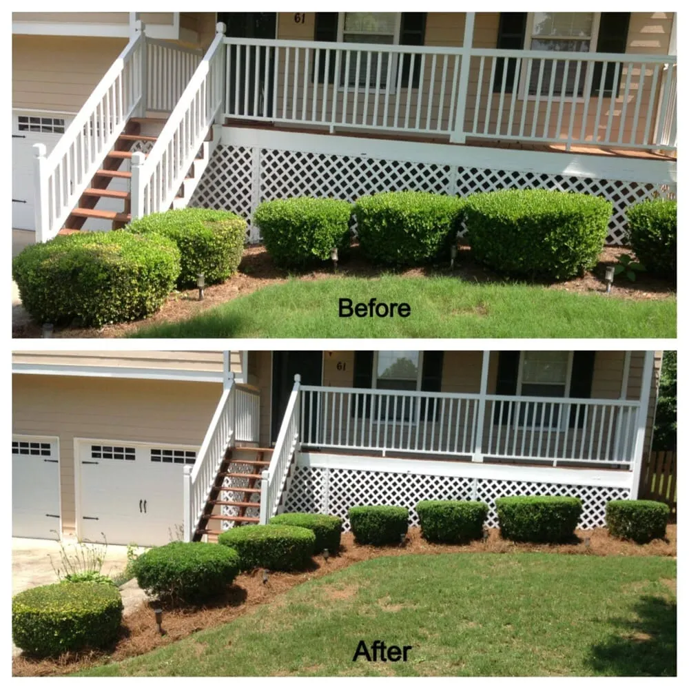 Expert yard maintenance for year-round maintenance across Fairburn, GA - Lawn And Order Ground Control