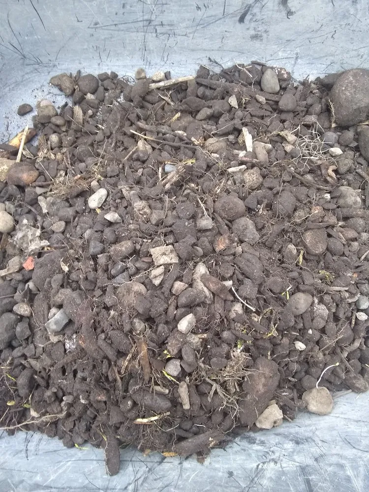 Reliable landscaping services in Lacey, WA by Lawn and Order