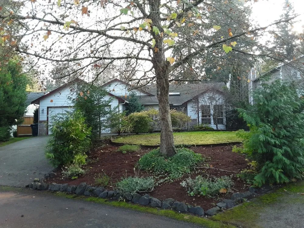 Custom yard cleanup service in Lacey, WA by Lawn and Order