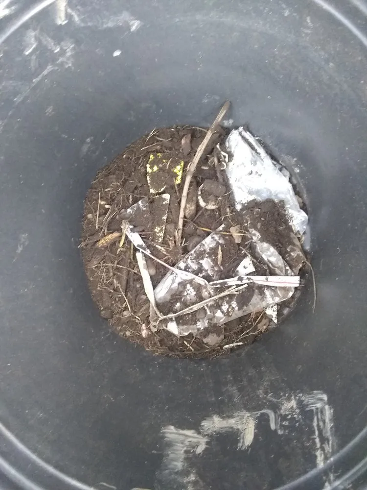 Affordable landscape design in Lacey, WA by Lawn and Order