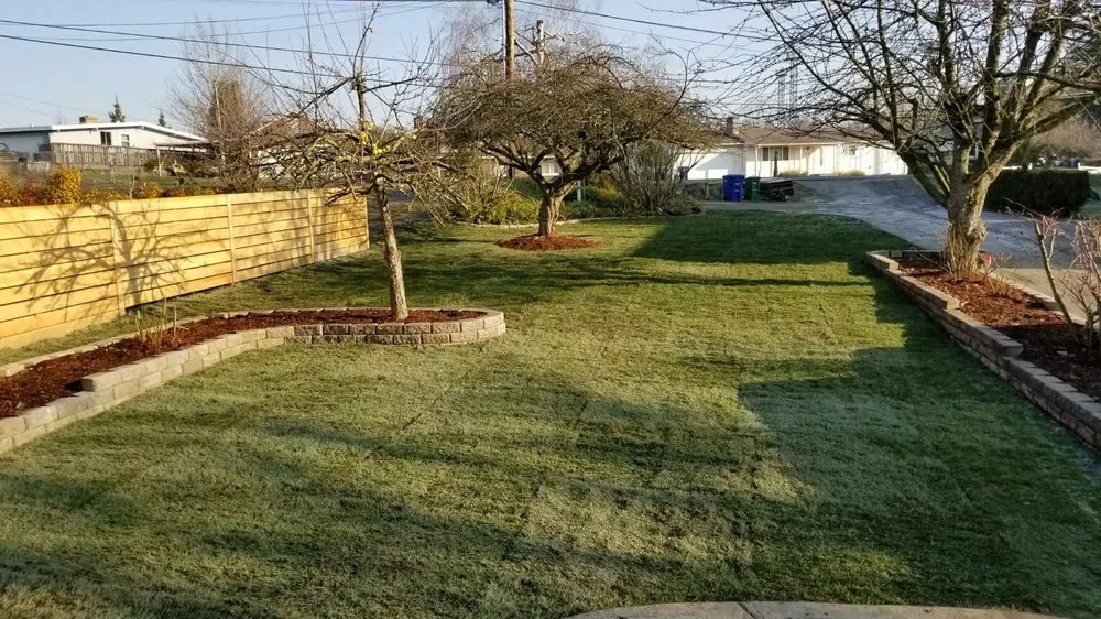 Top-rated outdoor landscaping in Lacey, WA by Lawn and Order