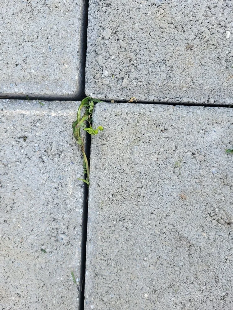 Custom residential landscaping experts serving York, PA - Lawn and Order Landscaping