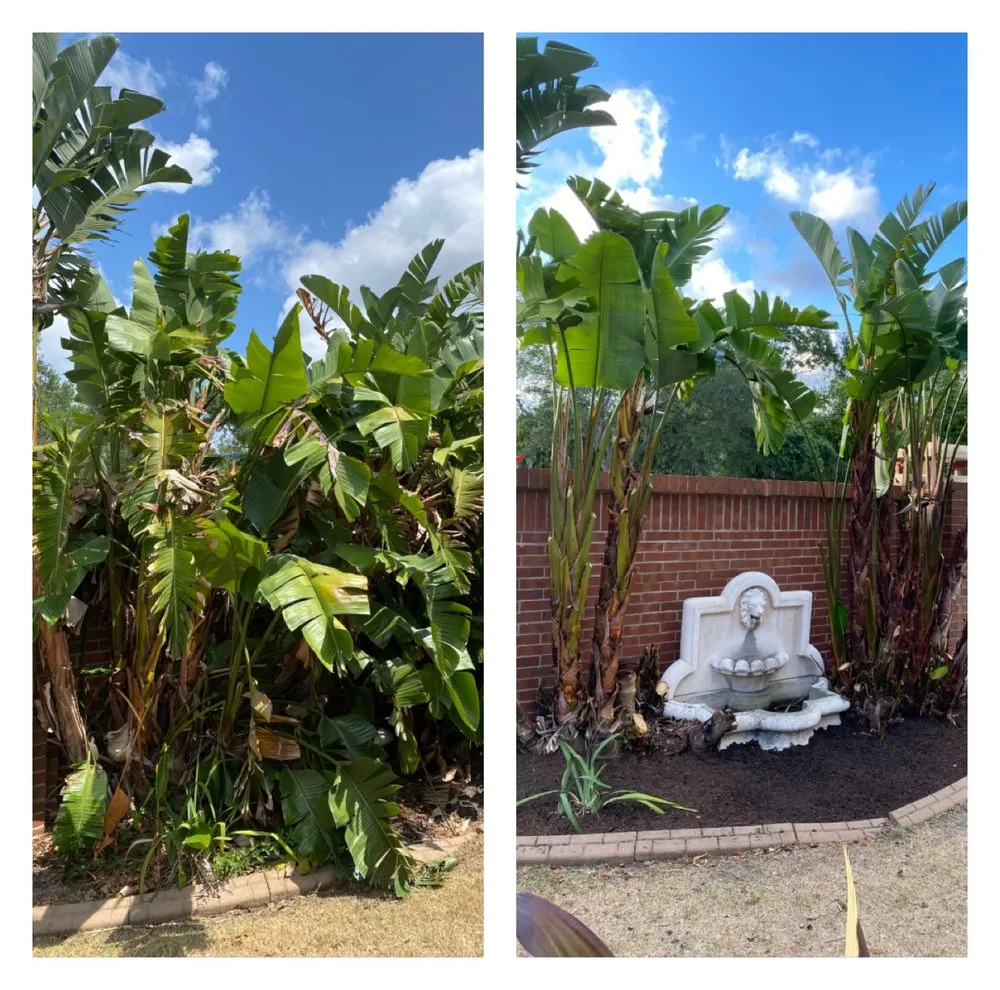 Trusted outdoor landscaping near you across Valrico, FL - Lawn And Order LCU